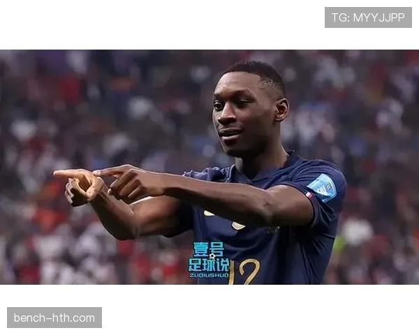 法兰克福阵容深度解析：新赛季实力与挑战并存，期待亮眼表现