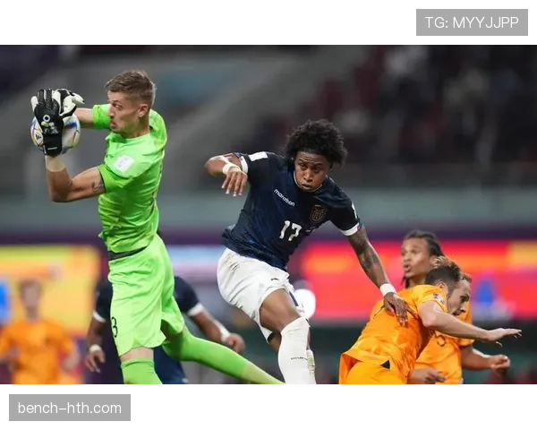 法国梦圆：卫冕征程再燃希望，世界杯新篇章引人瞩目